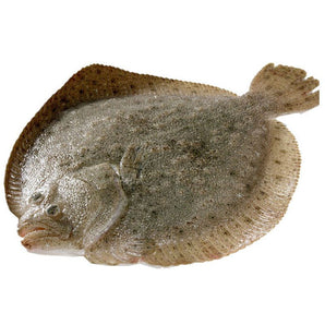 多寶魚(條）