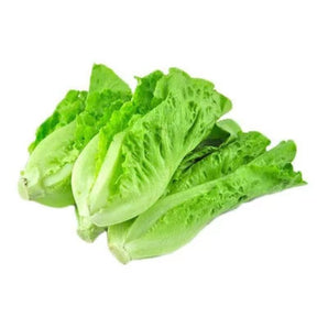 唐生菜（斤）