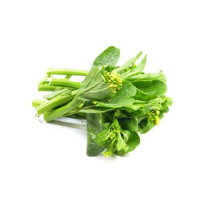 菜心苗（斤）