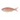 大紅杉魚（斤）