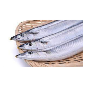 大牙帶魚（斤）