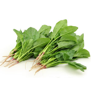 菠菜苗（斤）