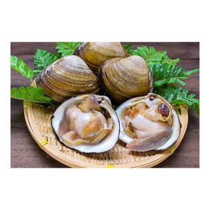 北寄貝（斤）
