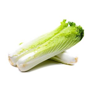 紹菜（斤）