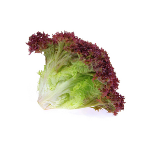 紅毛菜（半磅）