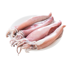 魷魚（斤）