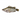 大條桂花魚